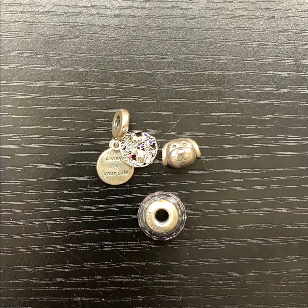Pandora charms all three!